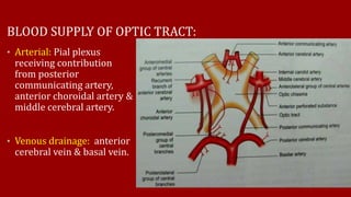 BLOOD SUPPLY OF OPTIC TRACT:
• Arterial: Pial plexus
receiving contribution
from posterior
communicating artery,
anterior choroidal artery &
middle cerebral artery.
• Venous drainage: anterior
cerebral vein & basal vein.
 