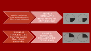 LESIONS OF PARIETAL
LOBE (involving superior
fibres of optic radiations)
INFERIOR
QUADRANTIC
HEMIANOPIA( PIE
ON THE FLOOR)
LESIONS OF
TEMPORAL LOBE
(involving inferior
fibres of optic
radiations)
SUPERIOR
QUADRANTIC
HEMIANOPIA( PIE
ON THE ROOF)
 