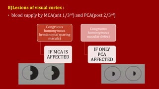 8)Lesions of visual cortex :
• blood supply by MCA(ant 1/3rd) and PCA(post 2/3rd)
Congruous
homonymous
hemianopia(sparing
macula)
IF MCA IS
AFFECTED
Congruous
homonymous
macular defect
IF ONLY
PCA
AFFECTED
 