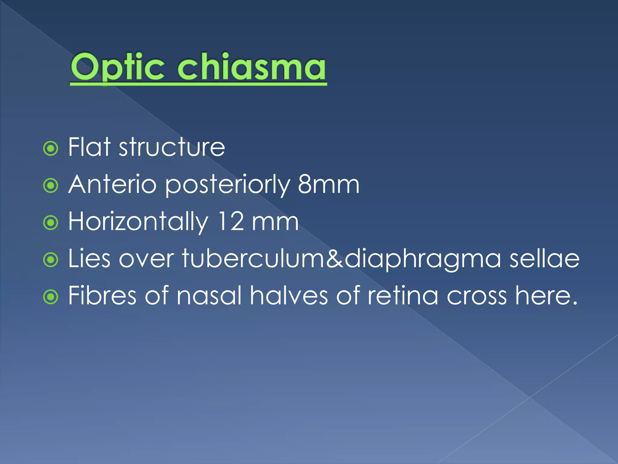Anatomy of visual pathway | PPT