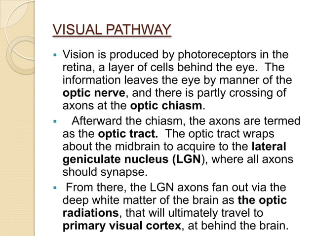 Anatomy of visual pathway and its lesions. | PPTX