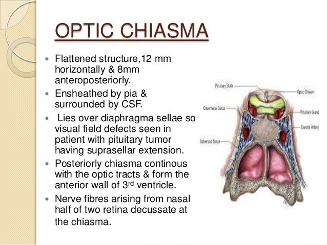 Anatomy of visual pathway, field defects and its lesions.
