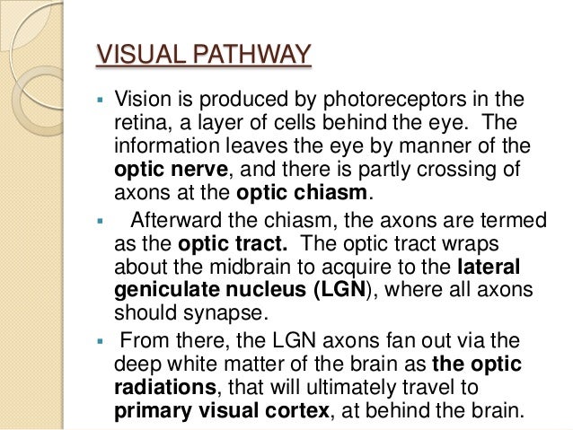 Anatomy of visual pathway, field defects and its lesions.