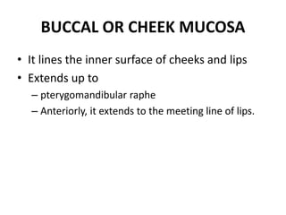 Anatomy oral cavity | PPTX