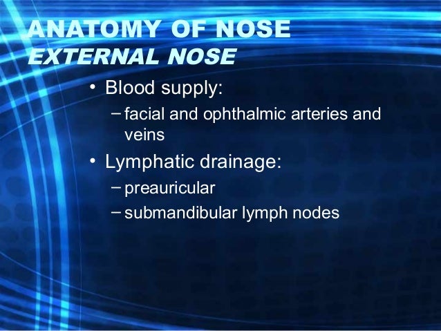 Anatomy And Physiology Of Nose And Paranasal Sinuses Anatomy And Physiology Of Nose And Paranasal Sinuses