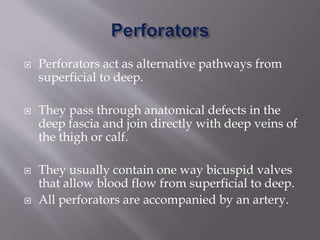Anatomy and Pathophysiology of venous system of lower limbs | PPTX