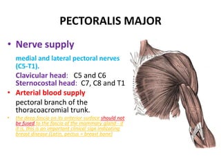 Poland's Syndrome ///is a congenital anomaly in which there is a malformation of the chest causing the pectoralis major on one side of the body to be absent.The latissimus dorsi and teres major also aid in adduction and medial rotation of the arm.