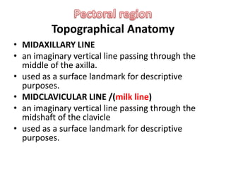 Pectoral regionTopographical Anatomy MIDAXILLARY LINEan imaginary vertical line passing through the middle of the axilla.used as a surface landmark for descriptive purposes.MIDCLAVICULAR LINE /(milk line)an imaginary vertical line passing through the midshaft of the clavicleused as a surface landmark for descriptive purposes.