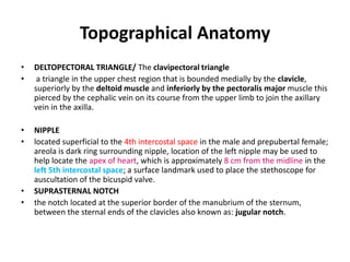 DELTOPECTORAL TRIANGLE/ The clavipectoral triangle a triangle in the upper chest region that is bounded medially by the clavicle,    superiorly by the deltoid muscle and inferiorly by the pectoralis major muscle this pierced by the cephalic vein on its course from the upper limb to join the axillary vein in the axilla.NIPPLElocated superficial to the 4th intercostal space in the male and prepubertal female; areola is dark ring surrounding nipple, location of the left nipple may be used to help locate the apex of heart, which is approximately 8 cm from the midline in the left 5th intercostal space; a surface landmark used to place the stethoscope for auscultation of the bicuspid valve.SUPRASTERNAL NOTCHthe notch located at the superior border of the manubrium of the sternum, between the sternal ends of the clavicles also known as: jugular notch.Topographical Anatomy 
