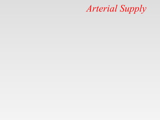 Arterial Supply
 