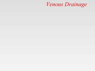 Venous Drainage
 