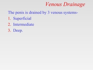 Venous Drainage
The penis is drained by 3 venous systems-
1. Superficial
2. Intermediate
3. Deep.
 