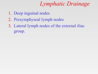 Lymphatic Drainage
1. Deep inguinal nodes
2. Presymphyseal lymph nodes
3. Lateral lymph nodes of the external iliac
group.
 