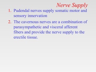 Nerve Supply
1. Pudendal nerves supply somatic motor and
sensory innervation
2. The cavernous nerves are a combination of
parasympathetic and visceral afferent
fibers and provide the nerve supply to the
erectile tissue.
 