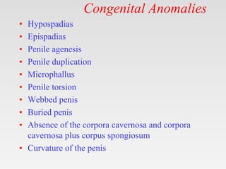 Congenital Anomalies
• Hypospadias
• Epispadias
• Penile agenesis
• Penile duplication
• Microphallus
• Penile torsion
• Webbed penis
• Buried penis
• Absence of the corpora cavernosa and corpora
cavernosa plus corpus spongiosum
• Curvature of the penis
 