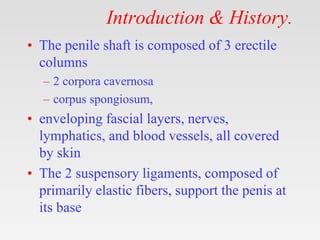 Introduction & History.
• The penile shaft is composed of 3 erectile
columns
– 2 corpora cavernosa
– corpus spongiosum,
• enveloping fascial layers, nerves,
lymphatics, and blood vessels, all covered
by skin
• The 2 suspensory ligaments, composed of
primarily elastic fibers, support the penis at
its base
 