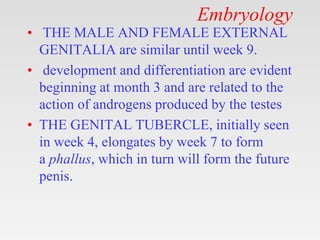 Embryology
• THE MALE AND FEMALE EXTERNAL
GENITALIA are similar until week 9.
• development and differentiation are evident
beginning at month 3 and are related to the
action of androgens produced by the testes
• THE GENITAL TUBERCLE, initially seen
in week 4, elongates by week 7 to form
a phallus, which in turn will form the future
penis.
 