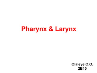 Pharynx & Larynx




              Olaleye O.O.
                  2B10
 
