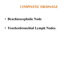 LYMPHATICDRAINAGE
• Brachieocephalic Node
• Tracheobronchial Lymph Nodes.
 