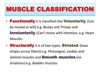 MUSCLE CLASSIFICATION
• Functionally it is classified into Voluntarily (Can
be moved at will) e.g. Biceps and Triceps and
Involuntarily (Can’t move with intention, e.g. Heart
Muscles.
• Structurally it is of two types. Striated (have
stripes across fibers) e.g. Pharyngeal, cardiac and
skeletal muscles and Smooth muscles (no
striations) e.g. bladder muscles.
 