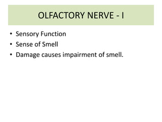 OLFACTORY NERVE - I
• Sensory Function
• Sense of Smell
• Damage causes impairment of smell.
 