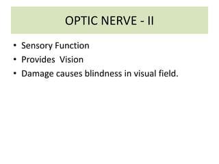 OPTIC NERVE - II
• Sensory Function
• Provides Vision
• Damage causes blindness in visual field.
 