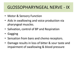GLOSSOPHARYNGEAL NERVE - IX
• Motor & Sensory Function
• Aids in swallowing and voice production via
pharyngeal muscles.
• Salivation, control of BP and Respiration
• Gagging
• Sensation from baro and chemo receptors.
• Damage results in loss of bitter & sour taste and
impairment of swallowing & blood pressure
 