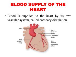 BLOOD SUPPLY OF THE
HEART
• Blood is supplied to the heart by its own
vascular system, called coronary circulation.
 