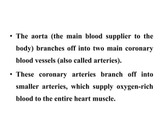 • The aorta (the main blood supplier to the
body) branches off into two main coronary
blood vessels (also called arteries).
• These coronary arteries branch off into
smaller arteries, which supply oxygen-rich
blood to the entire heart muscle.
 