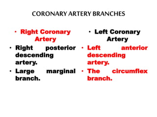 CORONARY ARTERY BRANCHES
• Right Coronary
Artery
• Right posterior
descending
artery.
• Large marginal
branch.
• Left Coronary
Artery
• Left anterior
descending
artery.
• The circumflex
branch.
 