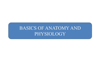 BASICS OF ANATOMY AND
PHYSIOLOGY
 
