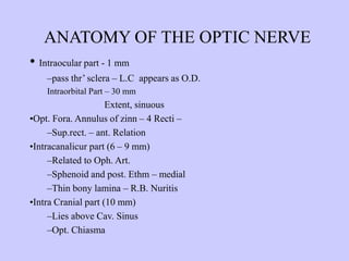 ANATOMY & PHYSIOLOGY OF EYE FOR MBBS.ppt