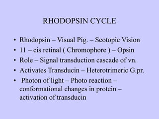 ANATOMY & PHYSIOLOGY OF EYE FOR MBBS.ppt