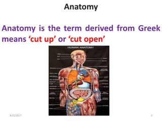 Anatomy
Anatomy is the term derived from Greek
means ‘cut up’ or ‘cut open’
8/21/2017 2
 