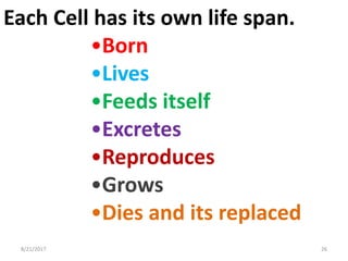 8/21/2017 26
Each Cell has its own life span.
•Born
•Lives
•Feeds itself
•Excretes
•Reproduces
•Grows
•Dies and its replaced
 