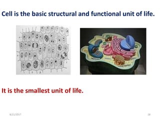 8/21/2017 28
Cell is the basic structural and functional unit of life.
It is the smallest unit of life.
 