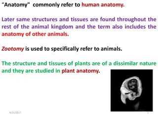 8/21/2017 3
“Anatomy" commonly refer to human anatomy.
Later same structures and tissues are found throughout the
rest of the animal kingdom and the term also includes the
anatomy of other animals.
Zootomy is used to specifically refer to animals.
The structure and tissues of plants are of a dissimilar nature
and they are studied in plant anatomy.
 