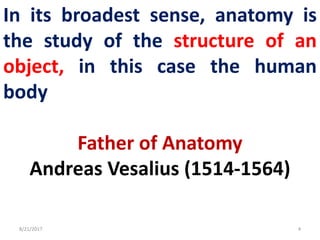 8/21/2017 4
In its broadest sense, anatomy is
the study of the structure of an
object, in this case the human
body
Father of Anatomy
Andreas Vesalius (1514-1564)
 