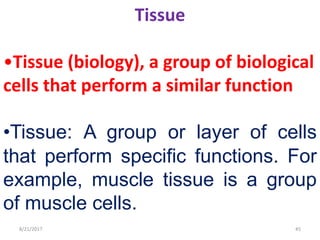 8/21/2017 45
Tissue
•Tissue (biology), a group of biological
cells that perform a similar function
•Tissue: A group or layer of cells
that perform specific functions. For
example, muscle tissue is a group
of muscle cells.
 