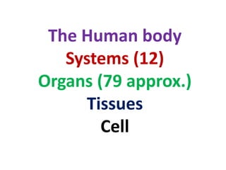 The Human body
Systems (12)
Organs (79 approx.)
Tissues
Cell
 