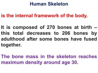 Human Skeleton
is the internal framework of the body.
It is composed of 270 bones at birth –
this total decreases to 206 bones by
adulthood after some bones have fused
together.
The bone mass in the skeleton reaches
maximum density around age 30.
 