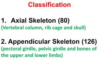 Classification
1. Axial Skeleton (80)
(Vertebral column, rib cage and skull)
2. Appendicular Skeleton (126)
(pectoral girdle, pelvic girdle and bones of
the upper and lower limbs)
 