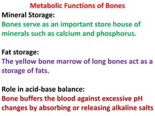 Metabolic Functions of Bones
Mineral Storage:
Bones serve as an important store house of
minerals such as calcium and phosphorus.
Fat storage:
The yellow bone marrow of long bones act as a
storage of fats.
Role in acid-base balance:
Bone buffers the blood against excessive pH
changes by absorbing or releasing alkaline salts
 