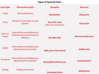 Joint Type Movement at joint Examples Structure
Hinge Flexion/Extension
Elbow/Knee Hinge joint
Pivot
Rotation of one bone around
another
Top of the neck
(atlas and axis bones)
Pivot Joint
Ball and
Socket
Flexion/Extension/Adduction/
Abduction/Internal & External
Rotation Shoulder/Hip
Ball and socket joint
Saddle
Flexion/Extension/Adduction/
Abduction/Circumduction
CMC joint of the thumb
Saddle joint
Condyloid
Flexion/Extension/Adduction/
Abduction/Circumduction
Wrist/MCP & MTP joints
Condyloid joint
Gliding Gliding movements
Intercarpal joints
Gliding joint
Types of Synovial Joint
 