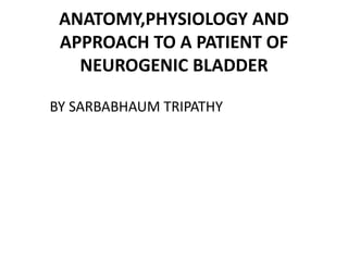 ANATOMY,PHYSIOLOGY AND
APPROACH TO A PATIENT OF
NEUROGENIC BLADDER
BY SARBABHAUM TRIPATHY
 