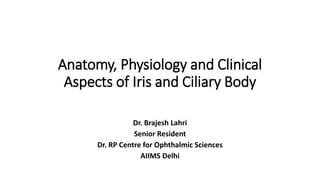 Anatomy, Physiology and Clinical
Aspects of Iris and Ciliary Body
Dr. Brajesh Lahri
Senior Resident
Dr. RP Centre for Ophthalmic Sciences
AIIMS Delhi
 