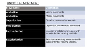 Infraduction ANATOMY, PHYSIOLOGY AND LAWS OF OCULAR MOVEMENTS.pptx