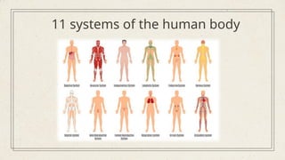 Anatomy & Physiology Case Report by Slidesgo.pptx