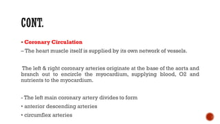 ▪ Coronary Circulation
– The heart muscle itself is supplied by its own network of vessels.
The left & right coronary arteries originate at the base of the aorta and
branch out to encircle the myocardium, supplying blood, O2 and
nutrients to the myocardium.
- The left main coronary artery divides to form
• anterior descending arteries
• circumflex arteries
 
