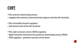 • The anterior descending artery:
– supplies the anterior interventricular septum and the left ventricle.
• The circumflex branch supplies:
– Left lateral wall of the left ventricle
• The right coronary artery (RCA) supplies:
– Right ventricle and forms the posterior descending artery (PDA)
– PDA supplies – posterior portion of the heart.
 